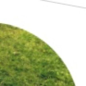 Meet your Posher, Annamarie